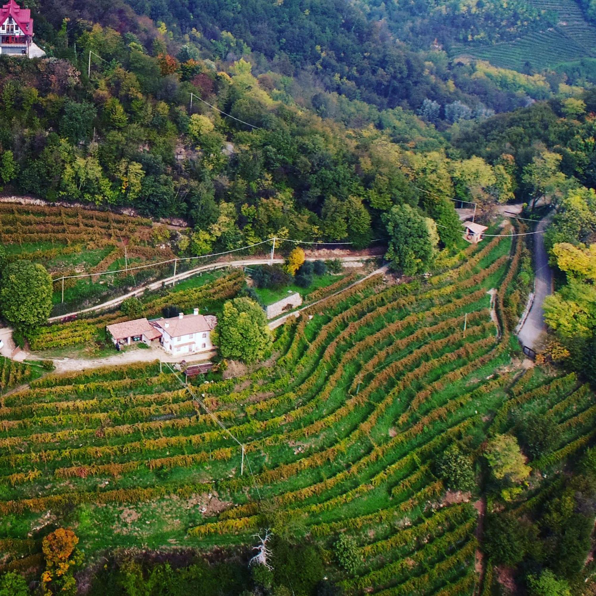 Rustico Costa D'Oro Villa Farra di Soligo Exteriör bild